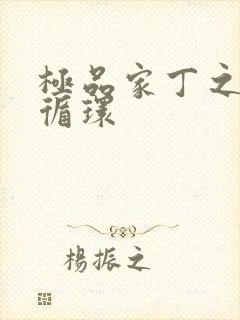 极品家丁之因果循环