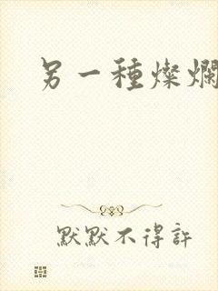 另一种灿烂生活