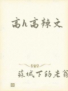 高h高辣文