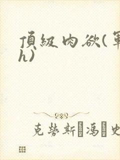 顶级肉欲(军高h)