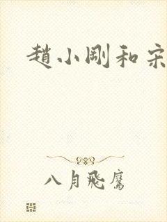 赵小刚和宋雨晴