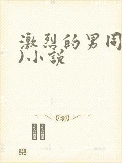 激烈的男同(h)小说