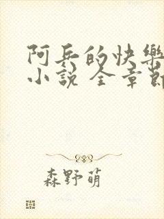 阿兵的快乐生活小说 全章节阅读免费