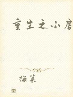 重生之小房东