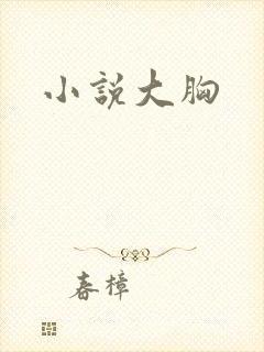 小说大胸