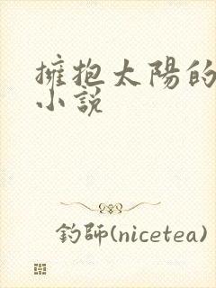 拥抱太阳的月亮小说