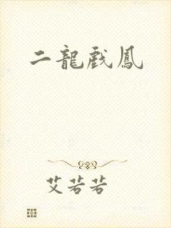 二龙戏凤