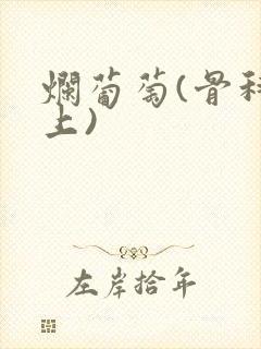 烂葡萄(骨科年上)