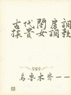 古代闺房调教h揉贵女调教记