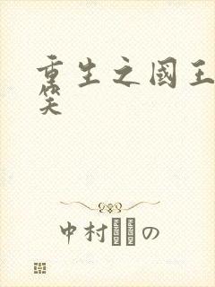 重生之国王的微笑