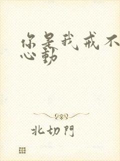 你是我戒不掉的心动