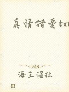 真情错爱txt