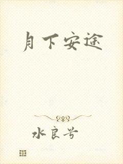 月下安途