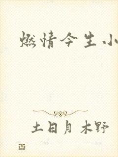 燃情今生小说