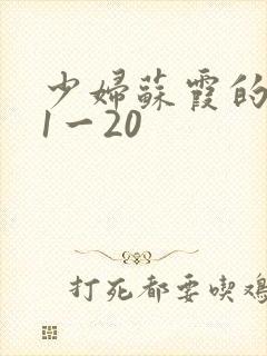 少妇苏霞的沉沦1一20