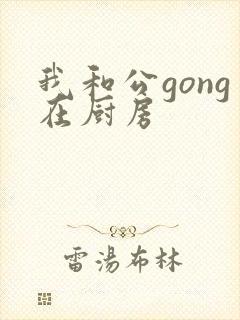 我和公gong在厨房