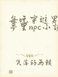 每晚穿进男神的梦里npc小说