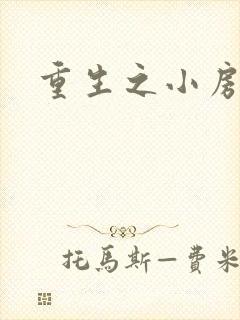 重生之小房东