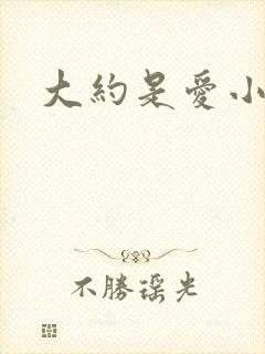 大约是爱小说