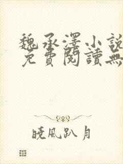 魏承泽小说全文免费阅读无弹窗笔趣