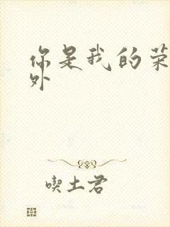 你是我的荣耀番外