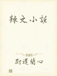辣文小说