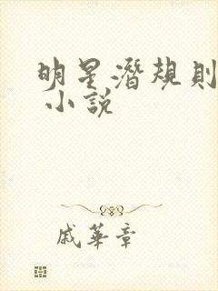 明星潜规则之皇 小说