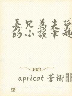 长兄为夫黛珂妃的小说笔趣阁全文