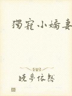 独宠小娇妻