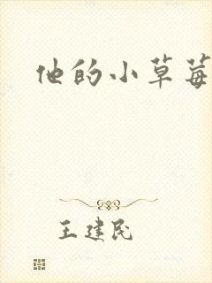 他的小草莓