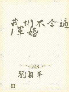 我们不合适1v1军婚