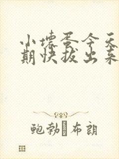 小坏蛋今天危险期快拔出来