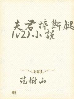 夫君摔断腿后(1v2)小说