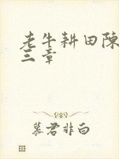 老牛耕田陈雪第三章