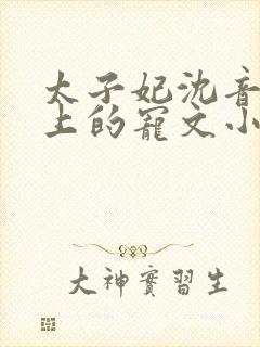 太子妃沈音和皇上的宠文小说