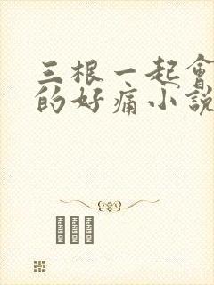 三根一起会坏掉的好痛小说