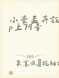 小豪孟卉钰慧三p上79章