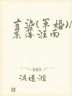 有染(军婚)/叶落淮南