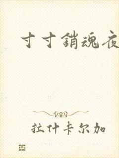 寸寸销魂夜春光