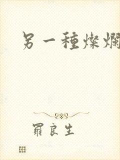 另一种灿烂生活