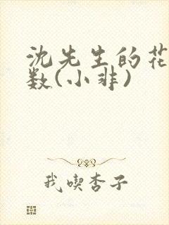 沈先生的花式调数(小非)