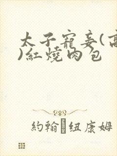 太子宠妾(高肉)红烧肉包