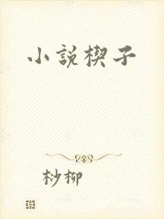 小说楔子