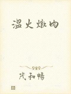 温火炖肉