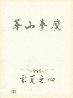 华山拳魔