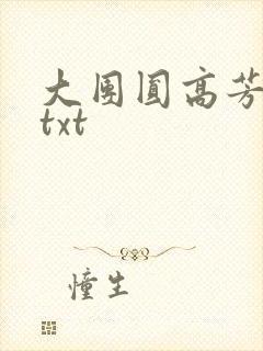 大团圆高芳小说txt