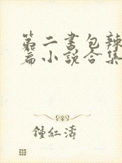 第二书包辣网短篇小说合集