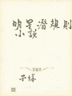 明星潜规则之皇 小说