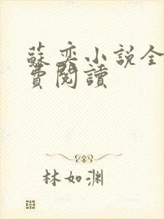 苏奕小说全文免费阅读