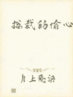 总裁的偷心娇妻